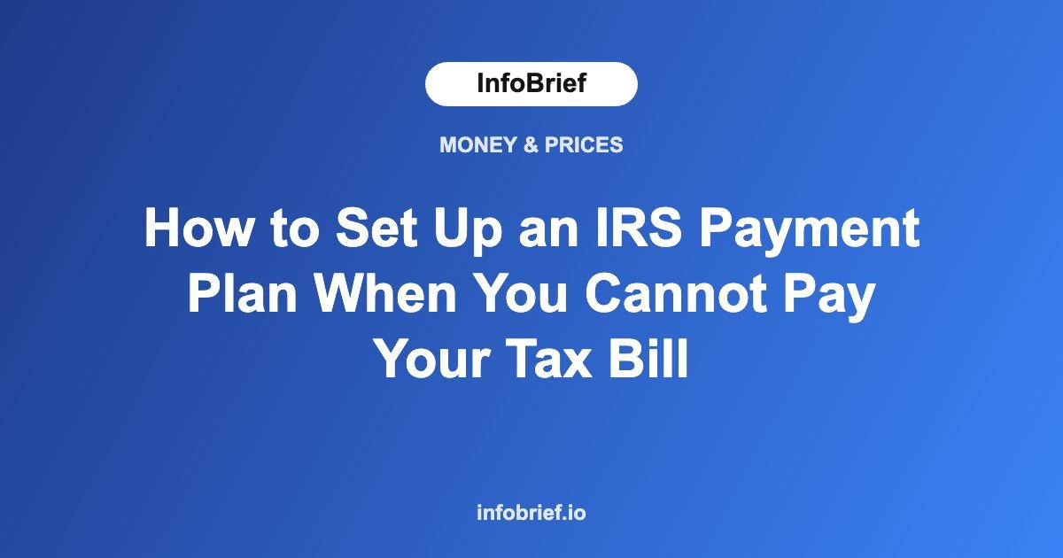 How to Set Up an IRS Payment Plan When You Cannot Pay Your Tax Bill